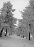 Małogoszcz-Drożyna zimą