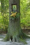 Gouchw - kapliczka na drzewie przy drodze do parku