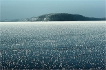 Jezioro Wigry - plos bryzglowski.W gbi pwysep ysocha.