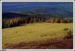 Karpacz - widok na polan przed Samotni