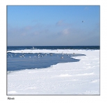Rewa - nad morzem zimą