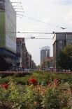 Katowice centrum
