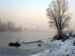 Chłodny brzeg Dunajca