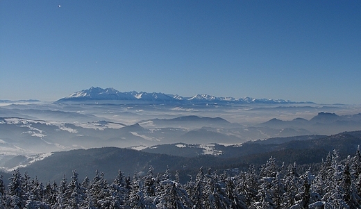 Widok z Radziejowej. Beskid Sądecki