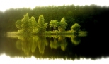 lene jeziorko w Barlinecko-Gorzowskim Parku Krajobrazowym