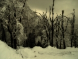 Jaworzyna Krynicka w zimowej szacie