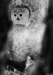 Memento mori, leśny cmentarz Stare Brusno