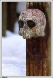 Zakopane - stary cmentarz na Pksowym Brzyzku