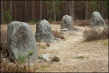 Kamienne Kręgi Grzybnica