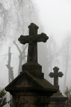 Lanckorona - na cmentarzu
