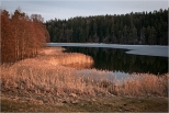 Jezioro Wigry - zatoka Uklei.