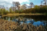 Nad stawem-park Trzeszczany